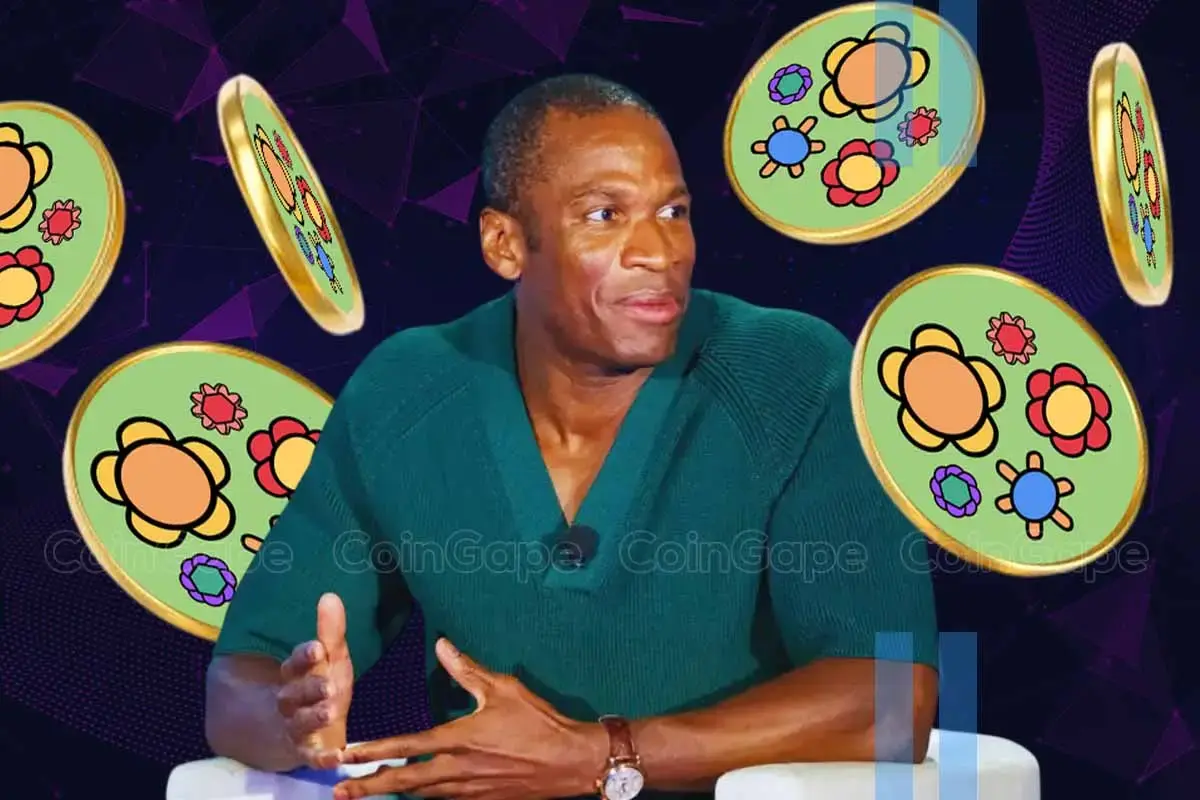 Arthur Hayes Promotes Solana Meme Coin; What Happens Next?