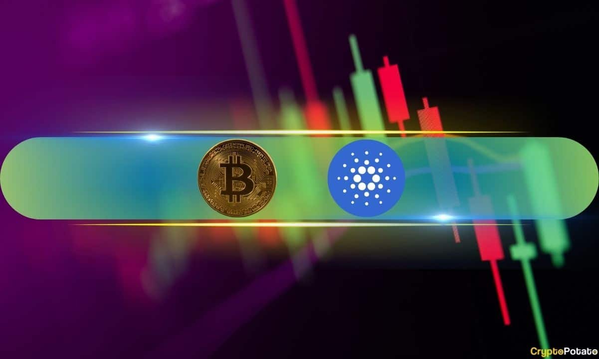 Cardano (ADA) Jumps 14% as Bitcoin Holds Above 93K