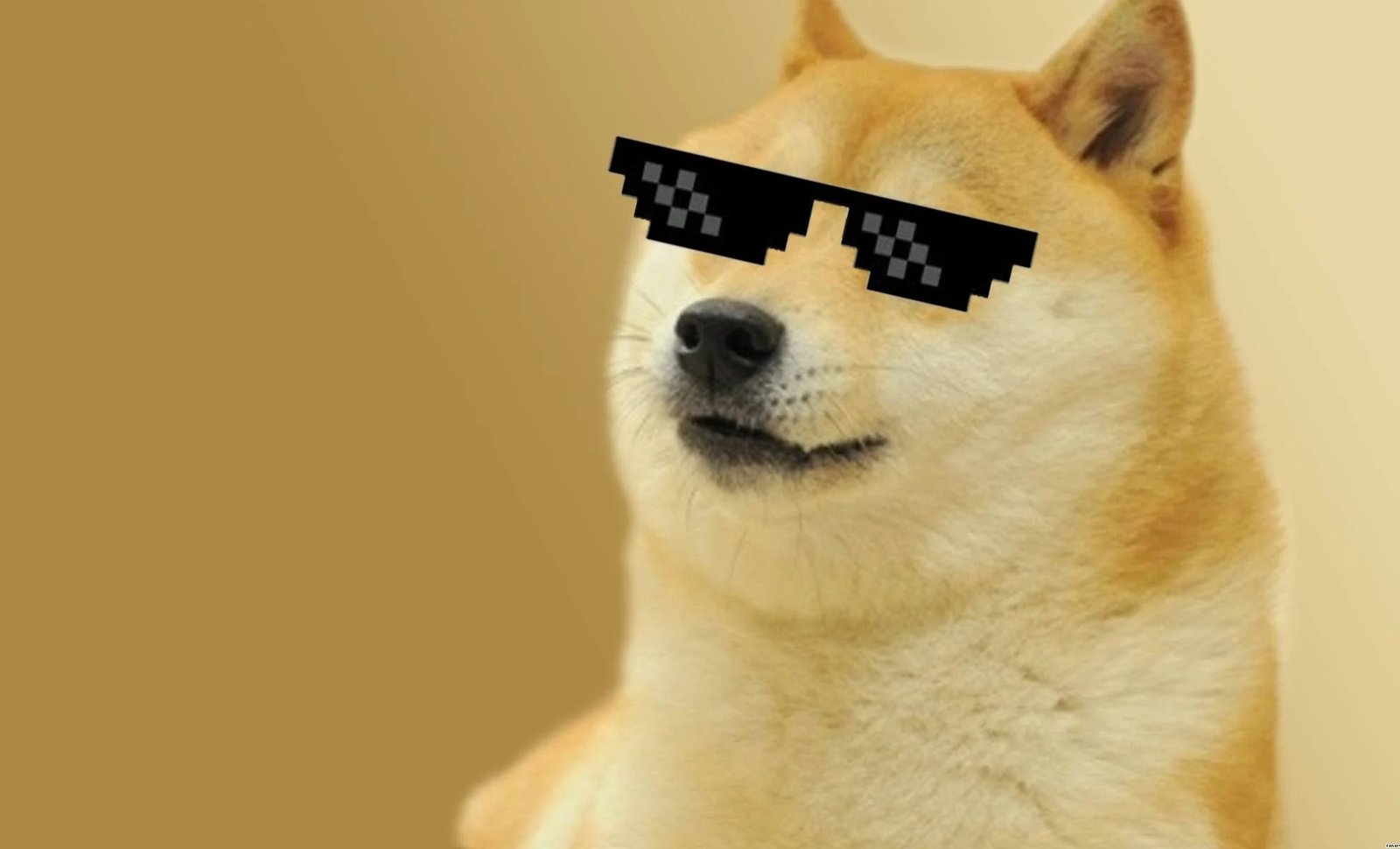 Dogecoin Price Set to Rocket as Analyst Predicts New All-Time High in Just 48 Hours