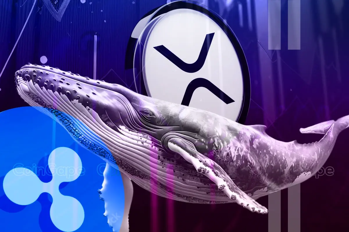 XRP Whale Accumulates 120 Million Coins: Time for Investors to Get Optimistic?