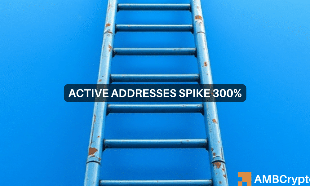 Why Is Algorand Dropping Despite 300% Surge in Active Addresses?