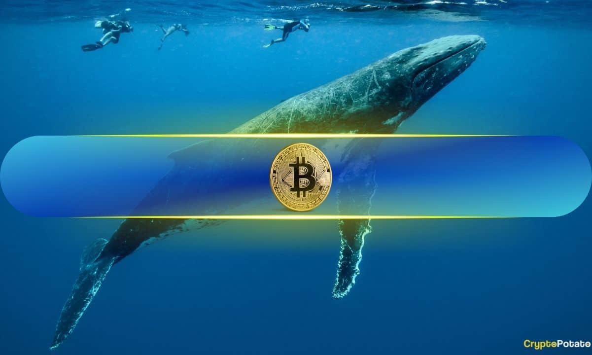 Bitcoin Price Dips Below Key Support Level: Whales May Be Cashing In