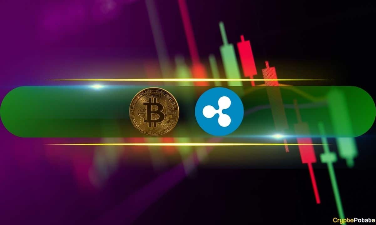 HBAR and XRP Resist Market Trends as Bitcoin Declines