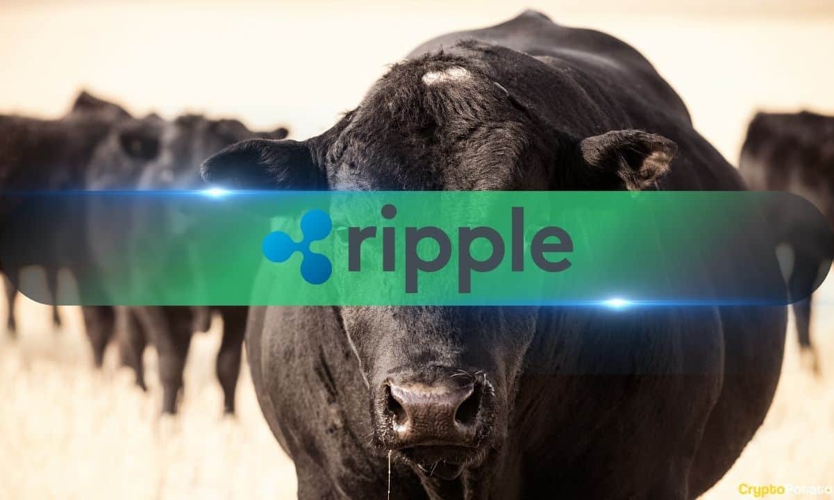 XRP Network Booms with 22357 New Wallets Created in Just One Day