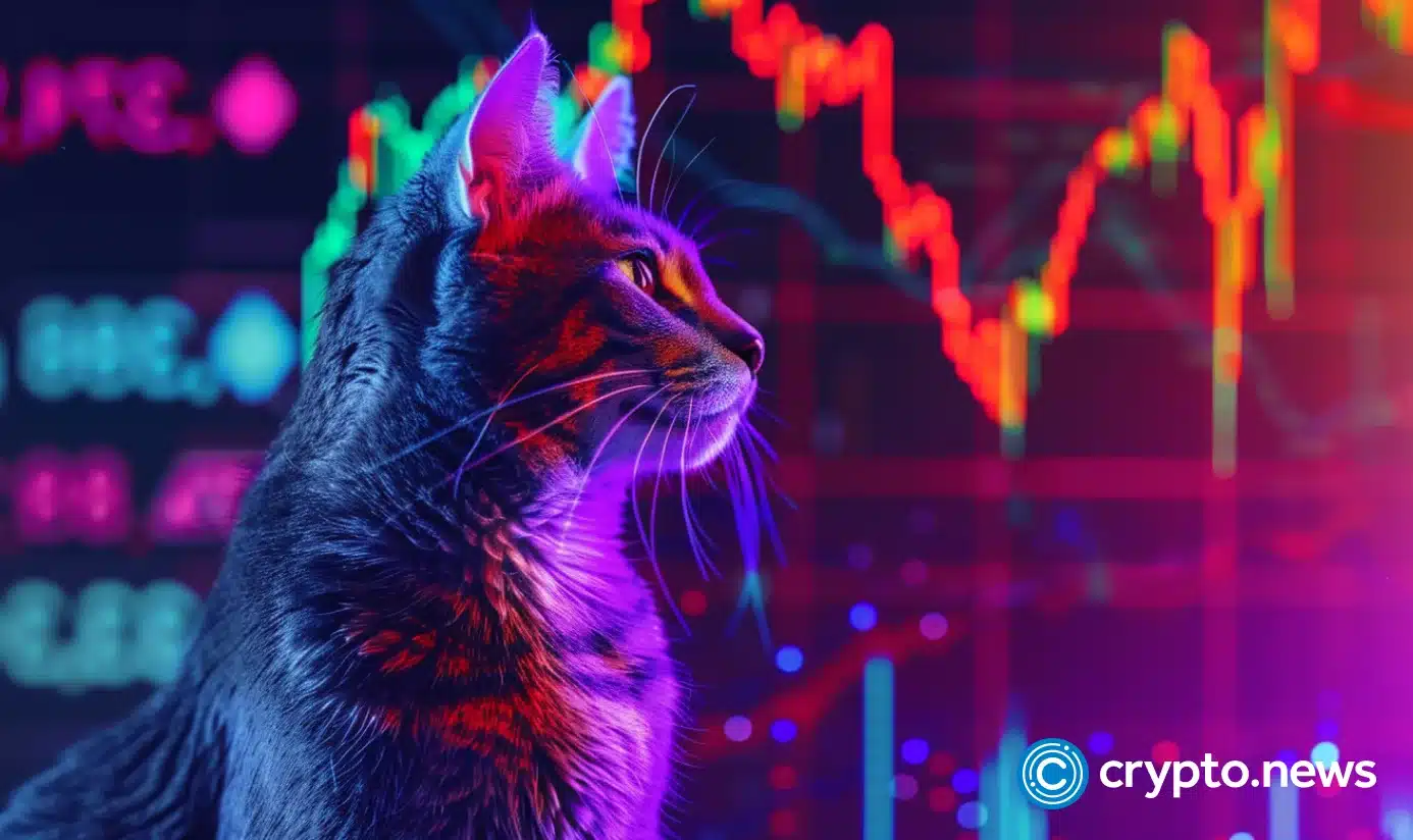 Popcat Price Plummets as Solana Meme Coin Struggles for Dominance