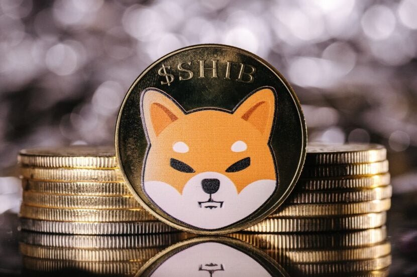 Shiba Inu Hits Eight-Month High with 13% Surge Amid Meme Coin Rally