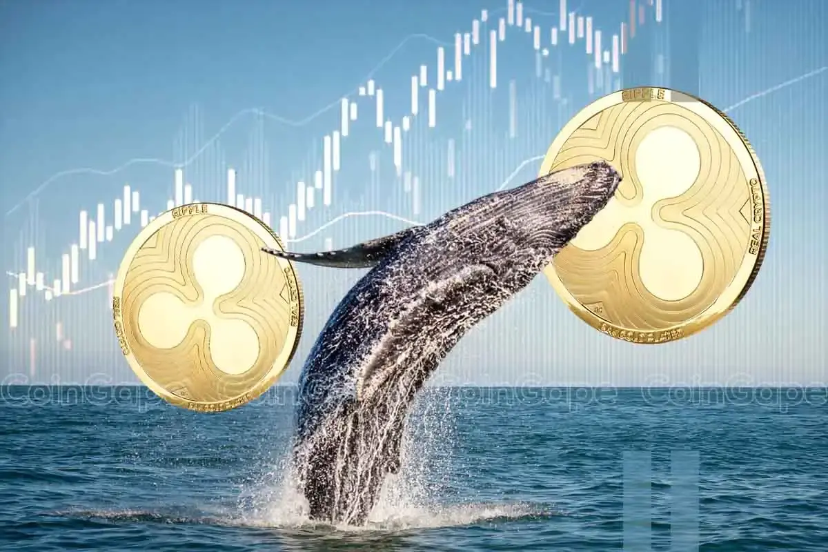 XRP Whales Accumulate Amid Market Decline, Signaling Possible Rally to 3