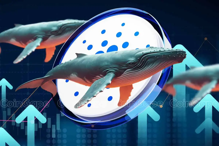 Cardano Whales Accumulate 140 Million ADA: Is a Price Jump Ahead?