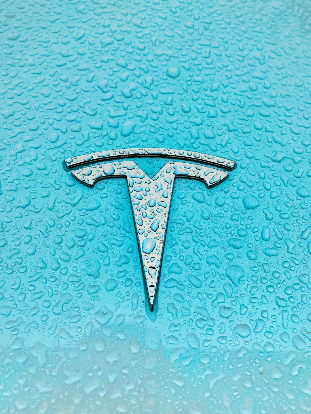 Kimbal Musk Offloads $27.6 Million of Tesla Stock Amid Market Fluctuations