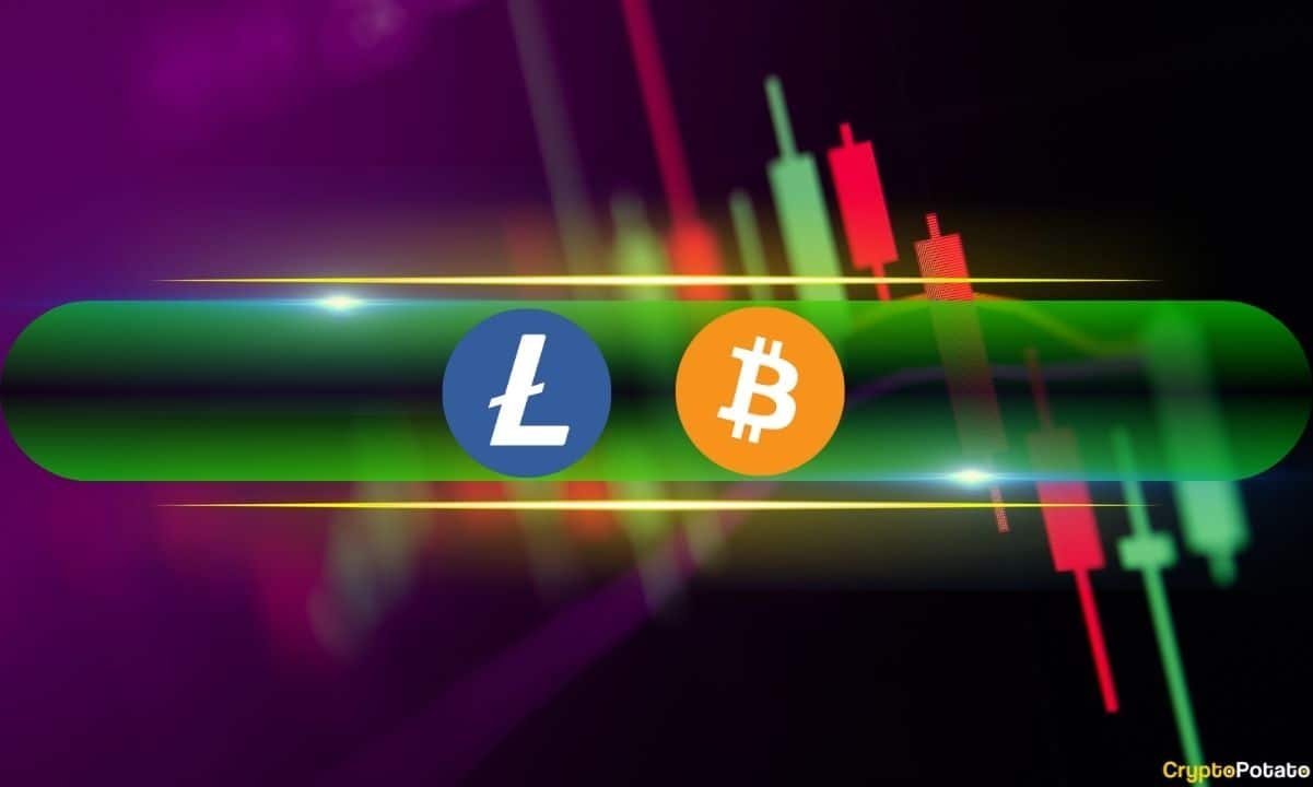 Litecoin Stands Out in Market; Bitcoin Rebounds to $82K