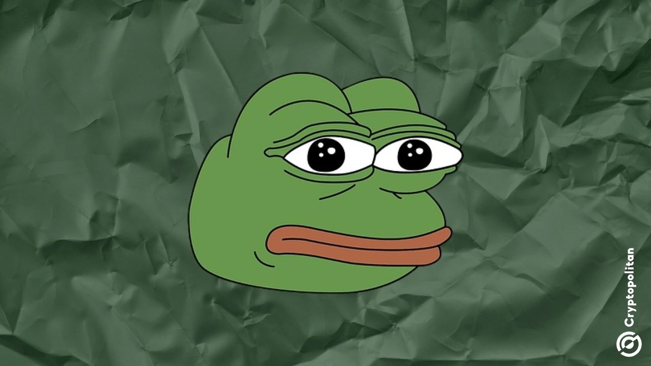 Whales Return to Meme Token PEPE Amid Market Volatility