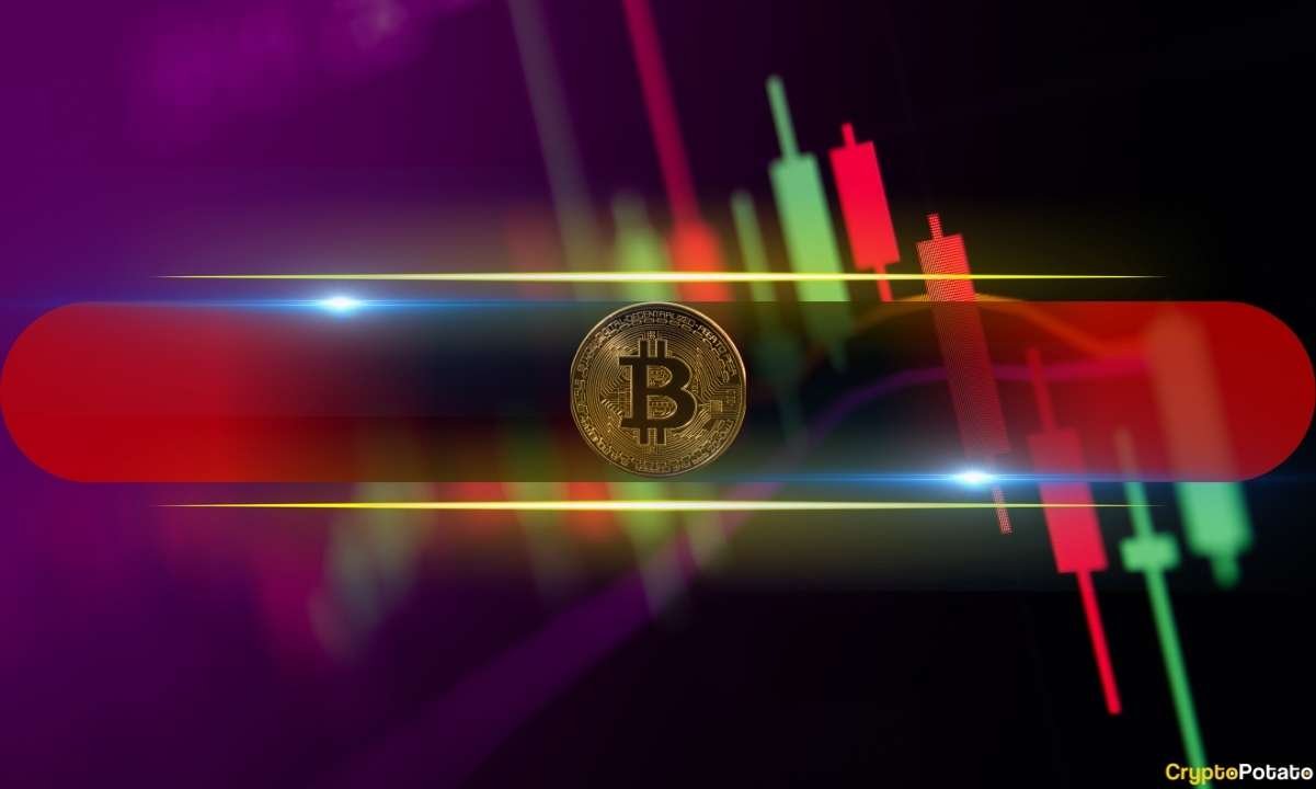 Bitcoin Rebounds but Many Altcoins Face Heavy Losses