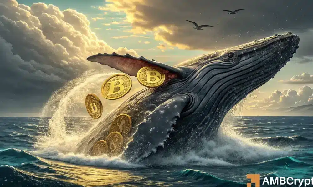 Whales Return to Bitcoin Market Signaling Price Move Ahead