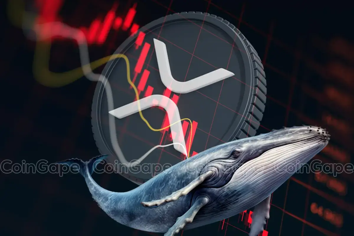 Whales Sell 230M XRP as Trump Rejects Ripple Purchase: Will Prices Crash?