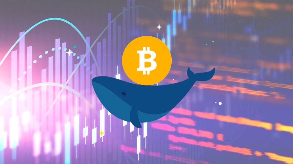 Bitcoin Whales Make a Comeback with $4 Million Transaction