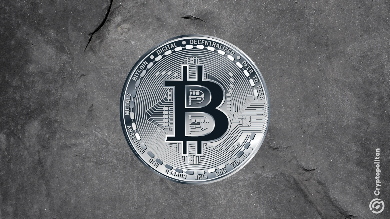 BlackRock’s Bitcoin ETF Sees Record Inflows of 481 Million