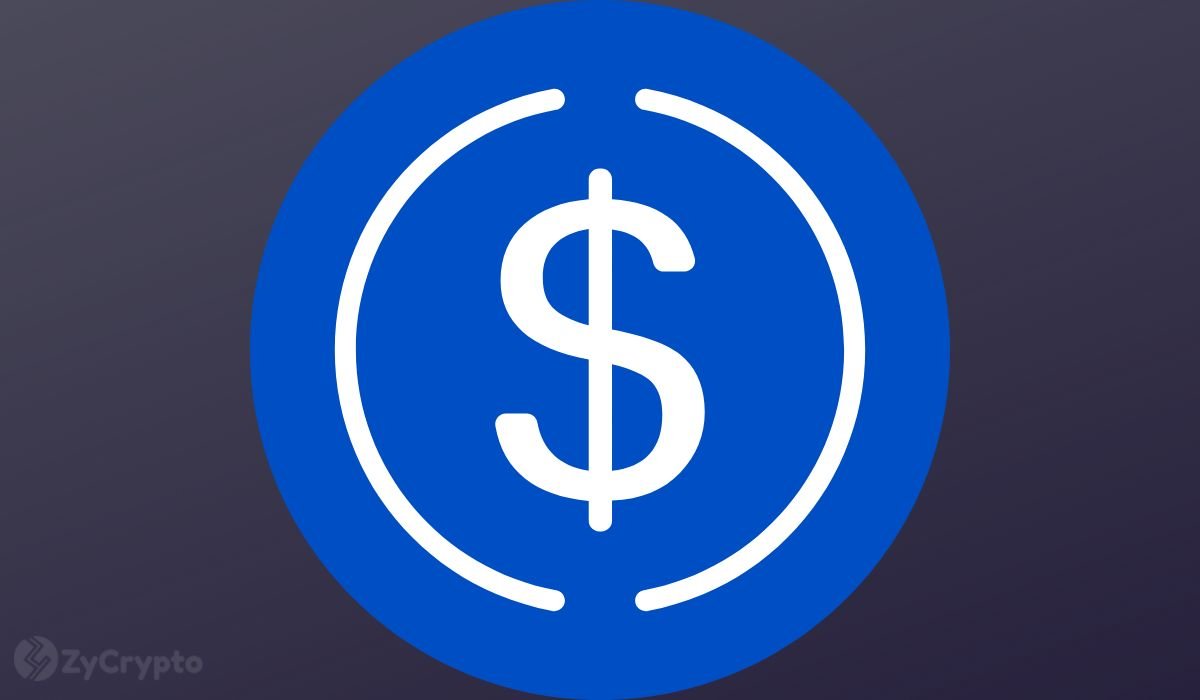 Circle Explores $5 Billion Sale While Preparing for IPO