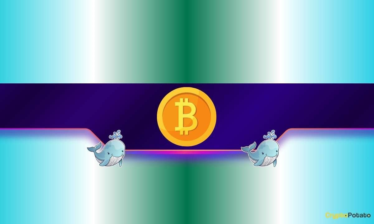 30,000 BTC Purchased in Just Four Days: Are We Heading for a Bitcoin Bull Run?
