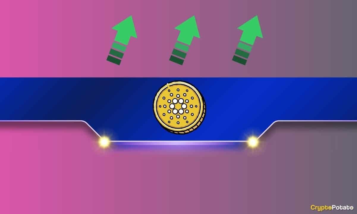 Cardano Community Announcement: Key Developments Unveiled