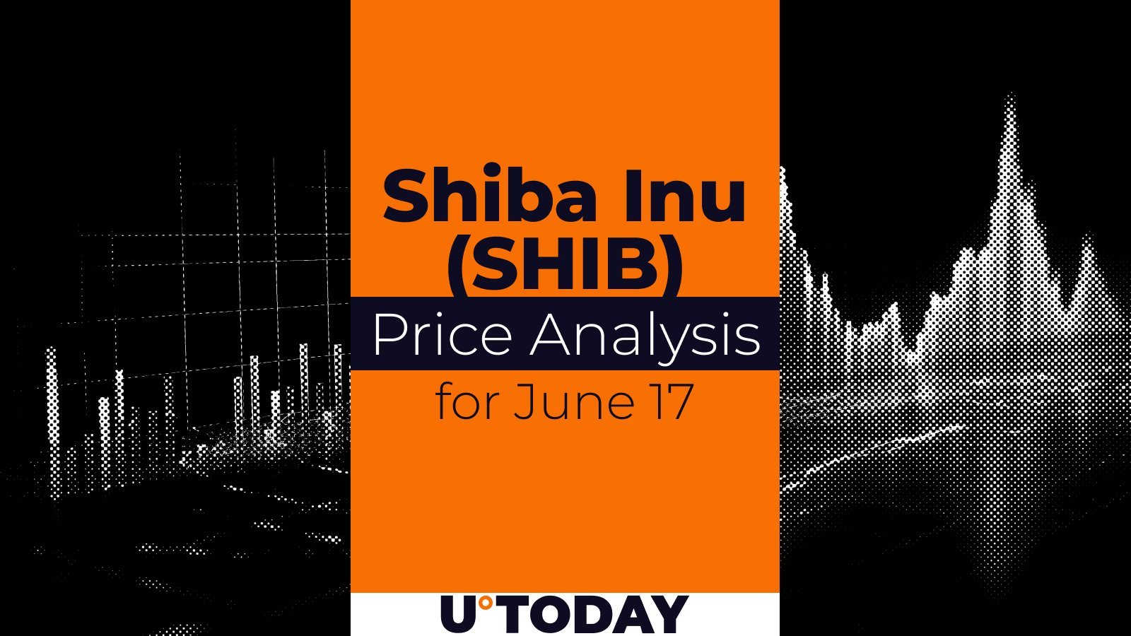 SHIB Price Forecast for June 17: Market Pulls Back After Growth