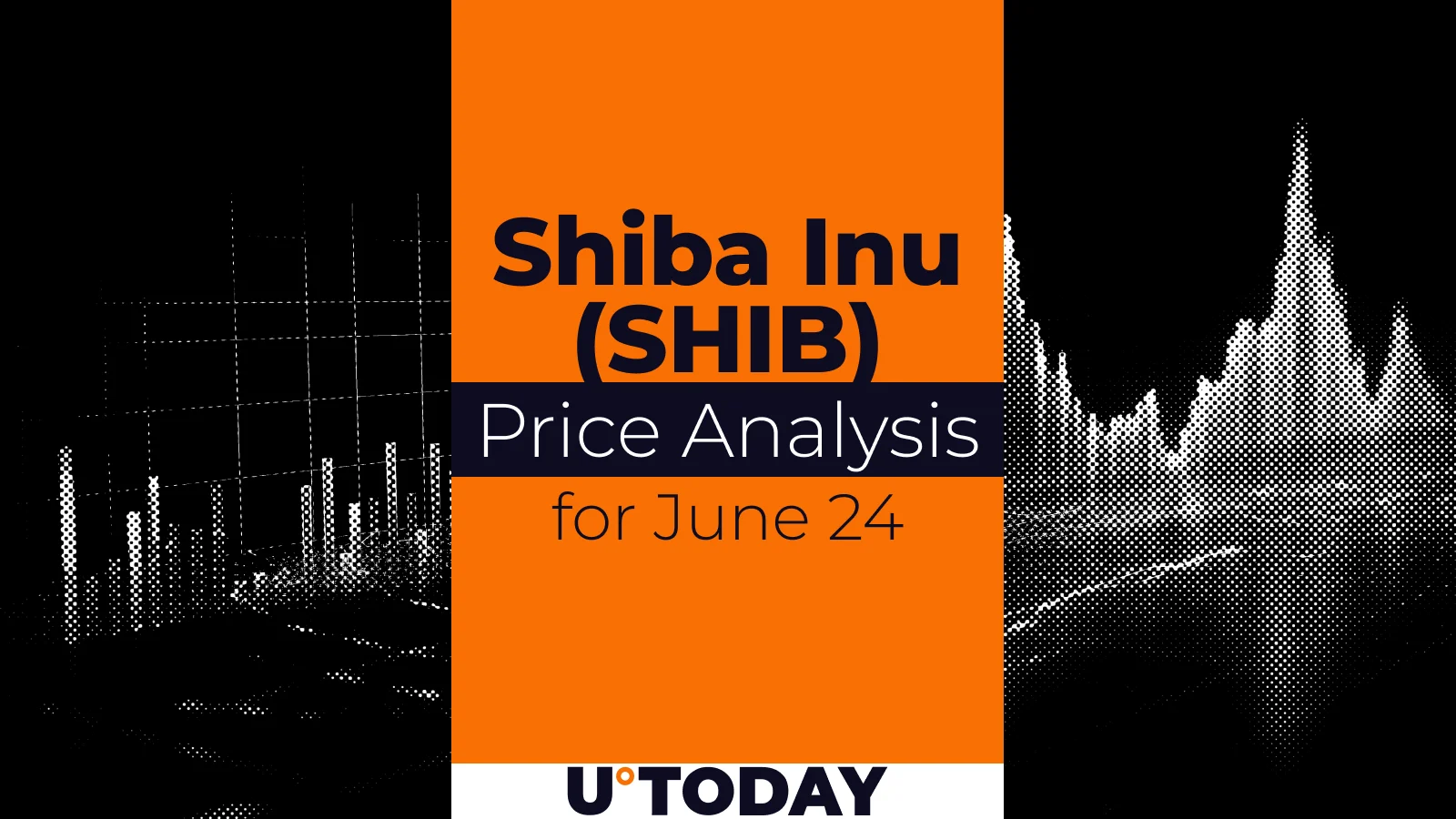 SHIB Price Outlook: Key Predictions for June 24