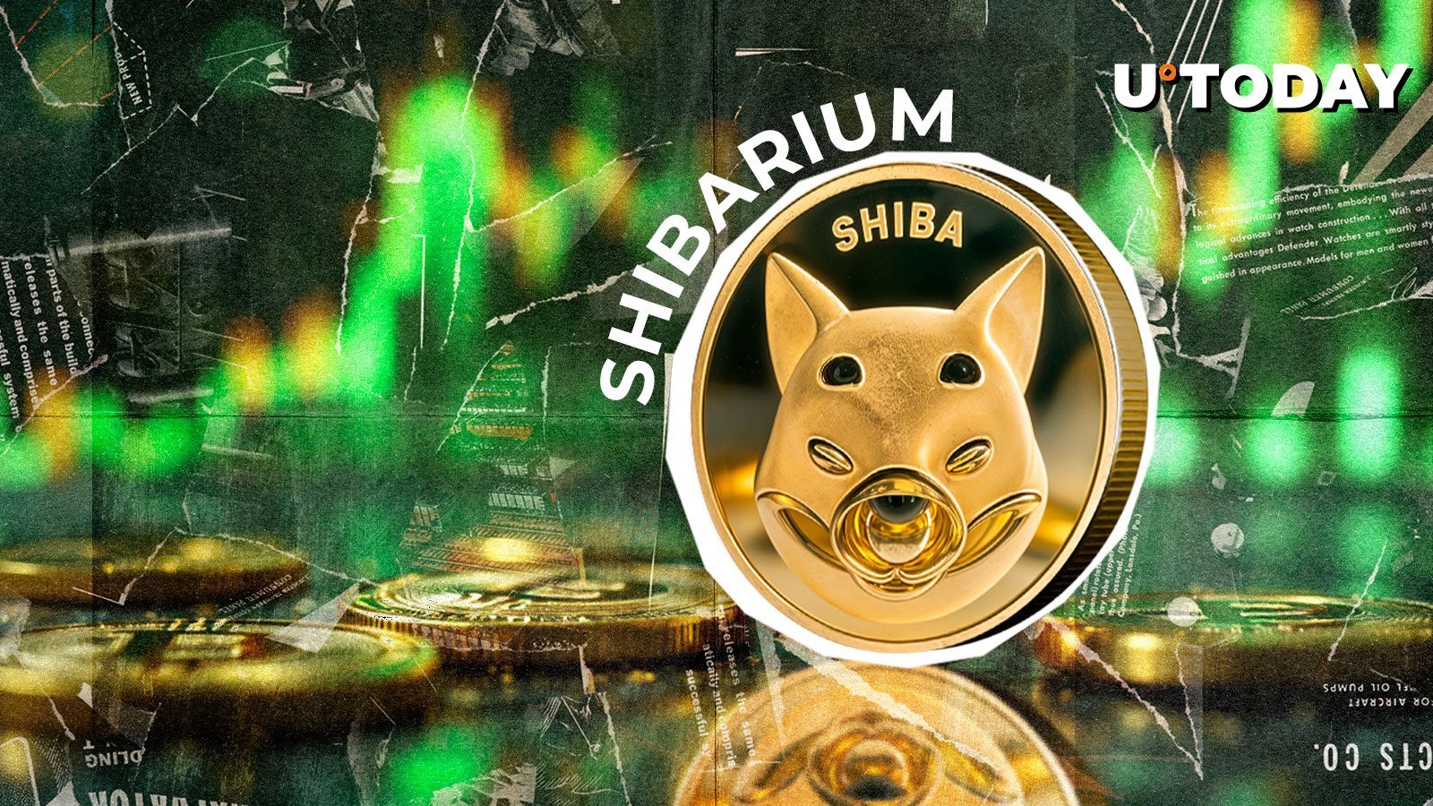 Shibarium Sees Unprecedented Surge with 1013% Increase in Transactions