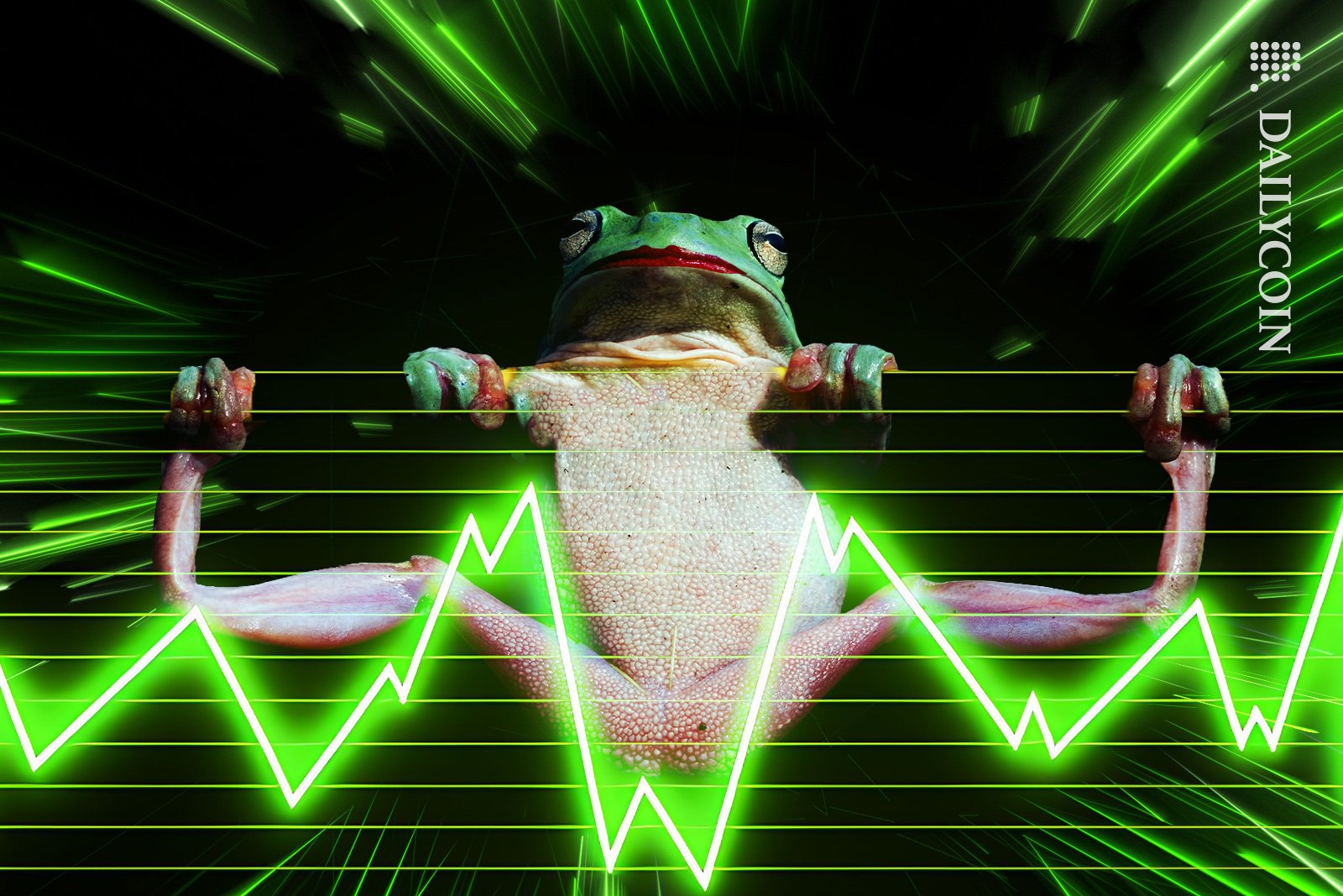 X Suspends Memecoin Accounts: What This Means for SOL