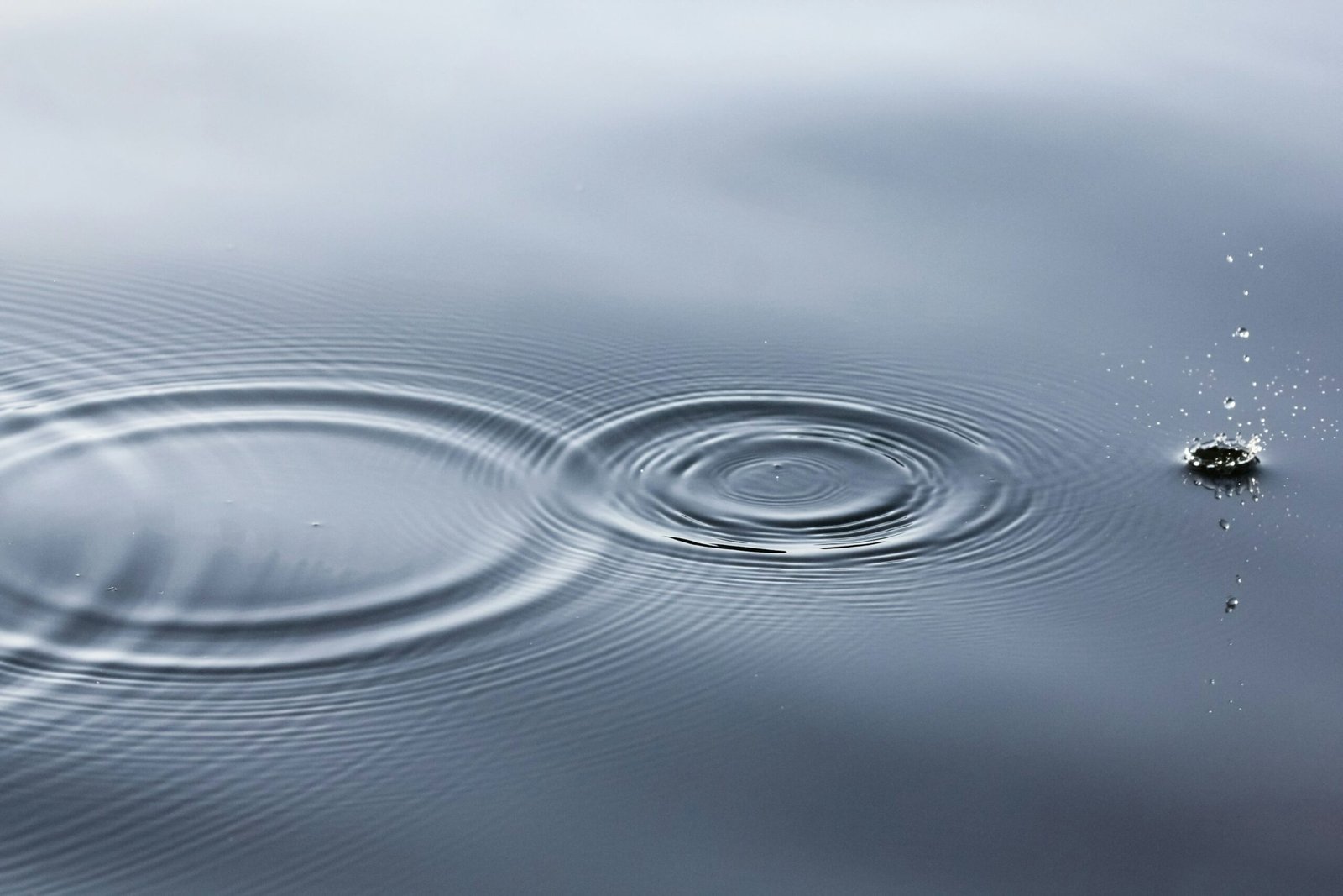 XRP’s Potential to Transform Finances Long Before Hitting 10K Says Investor