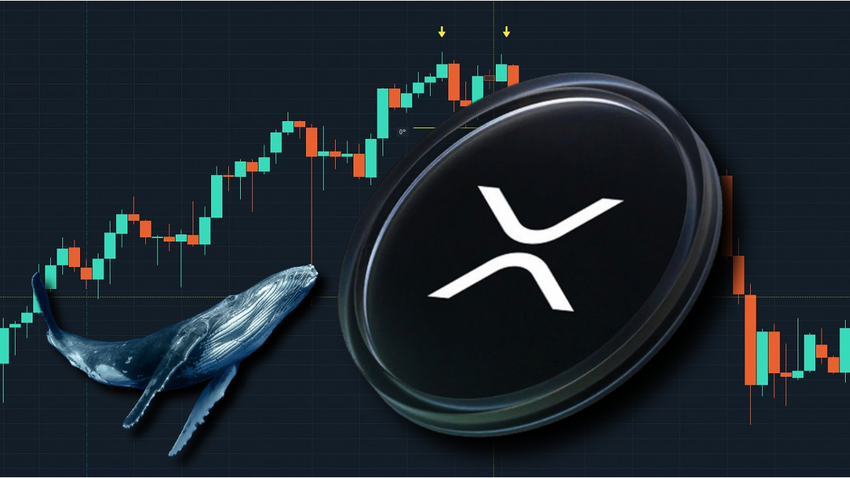 XRP Experiences Unprecedented Whale Activity Amid Increasing Institutional Interest