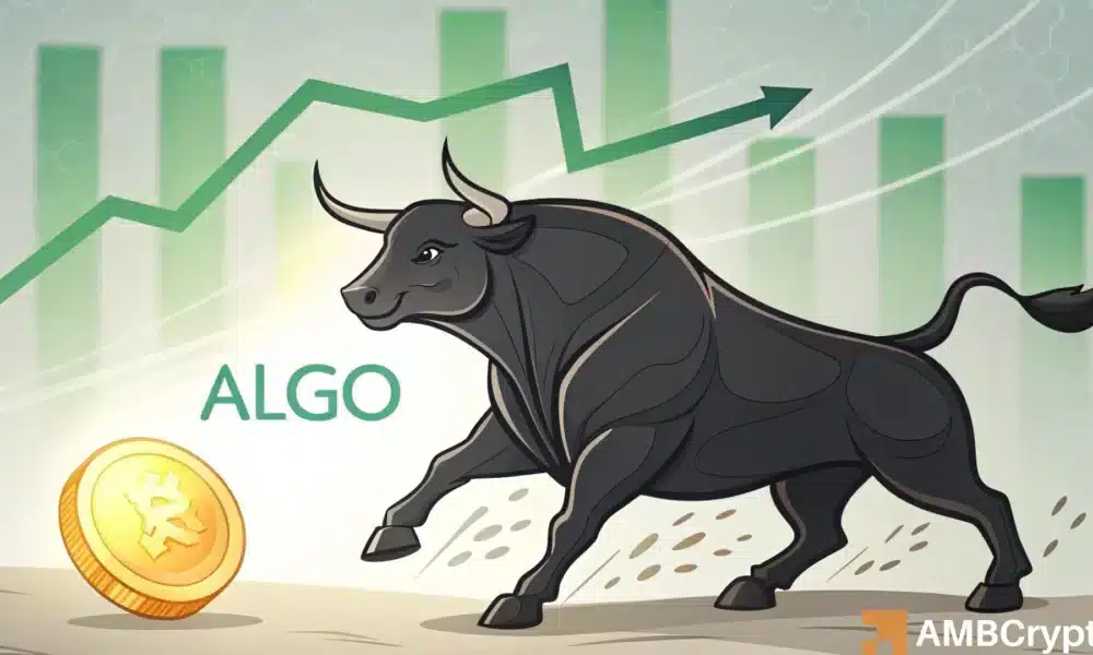 Why are Traders Betting Against Algorand Despite 33% Surge?