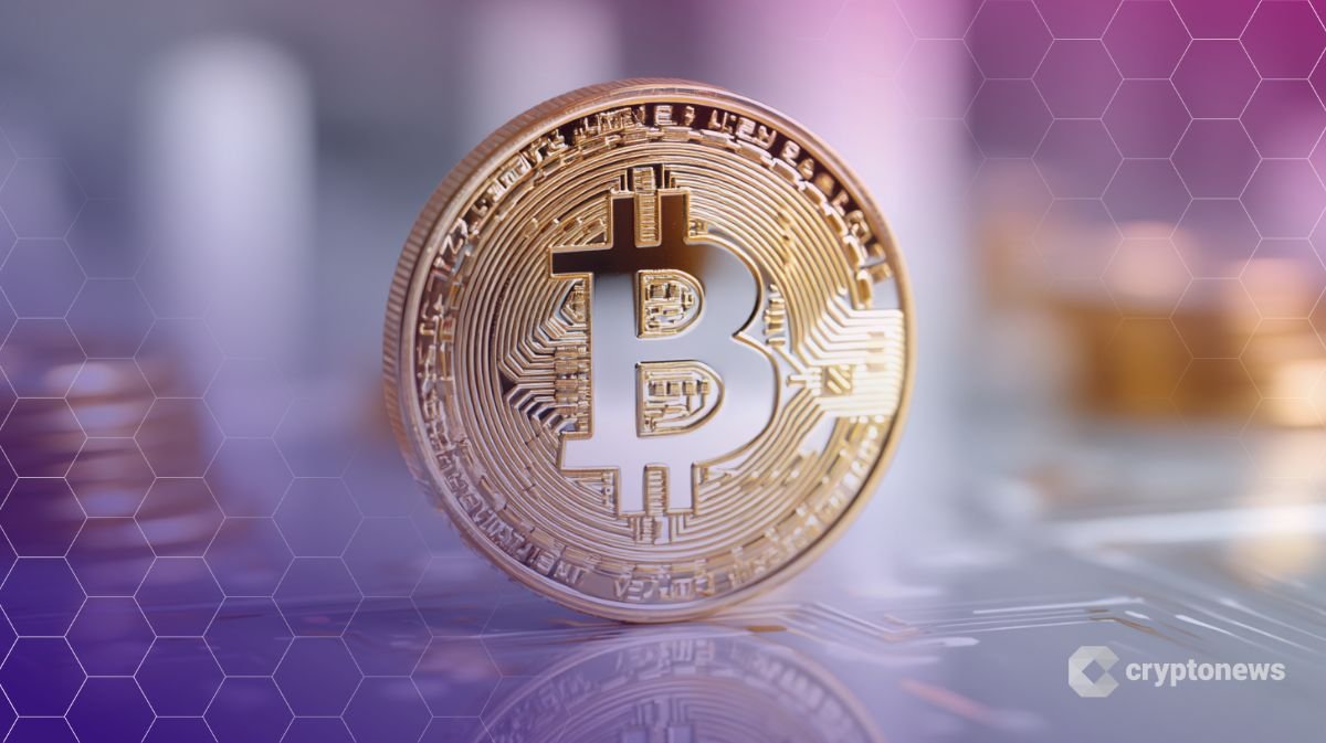 Peter Schiff Claims Bitcoin Supply Cap is Meaningless Despite Recent Gains