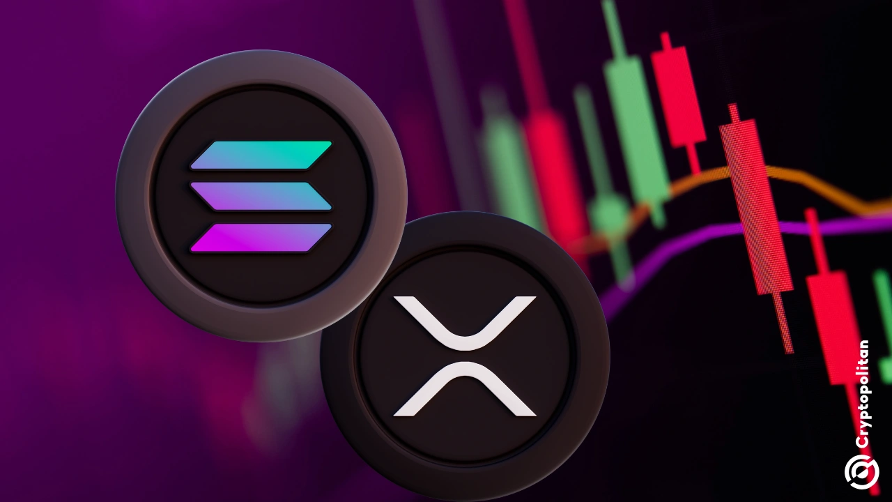 Solana and XRP Experience 5% Setback Amid Profit-Taking Actions