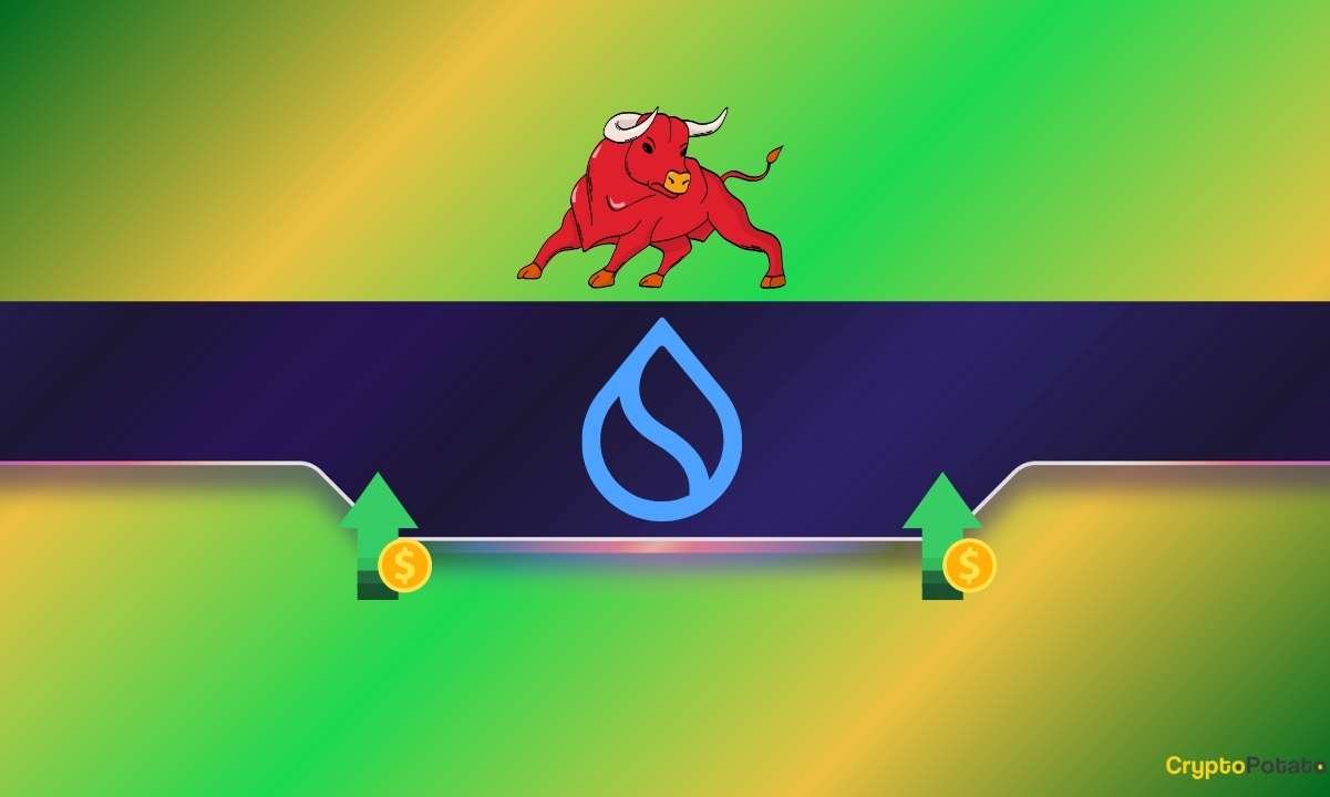 SUI’s Recent Decline: Analysts Eye $7 Target