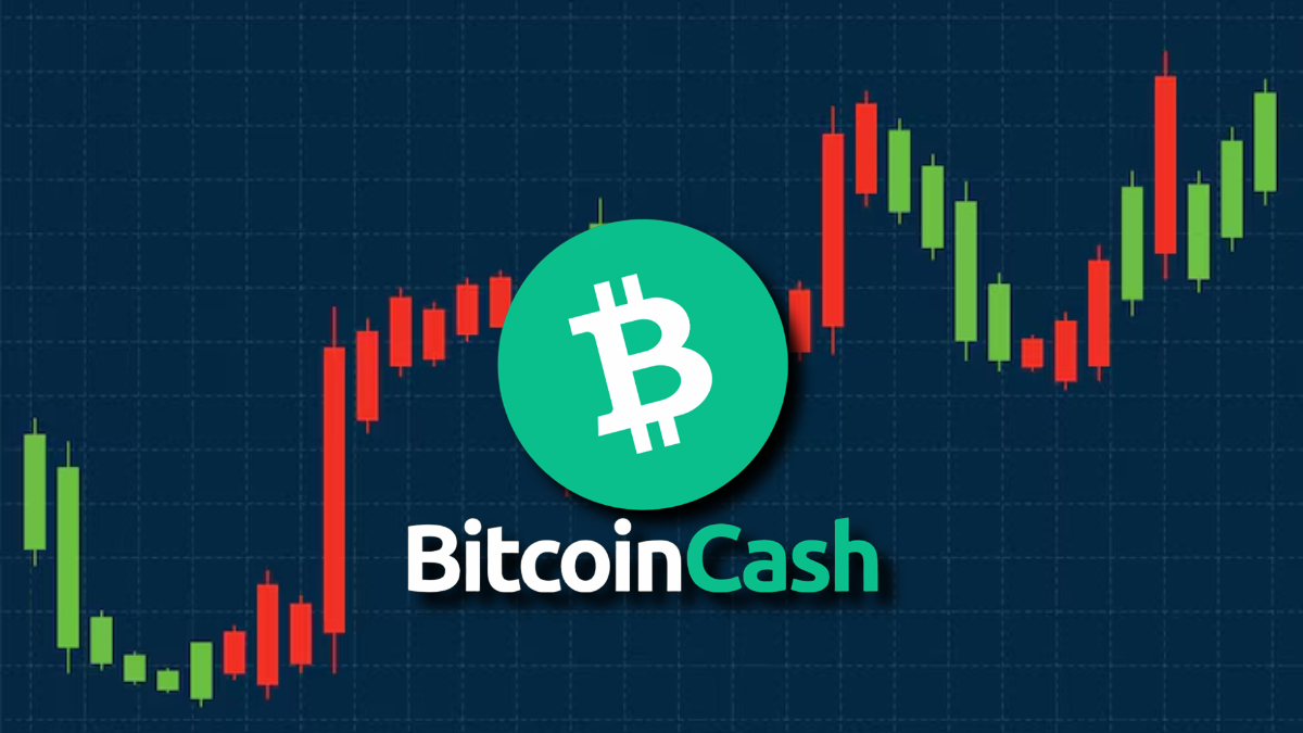 Bitcoin Cash Faces Critical Support Test Below 500