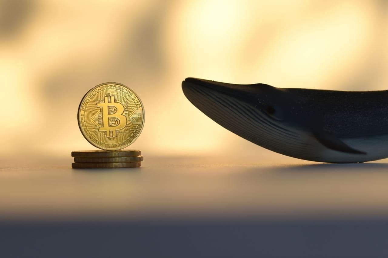Bitcoin Whales Dump Over $3 Billion; Is a Crash to $100k Imminent?