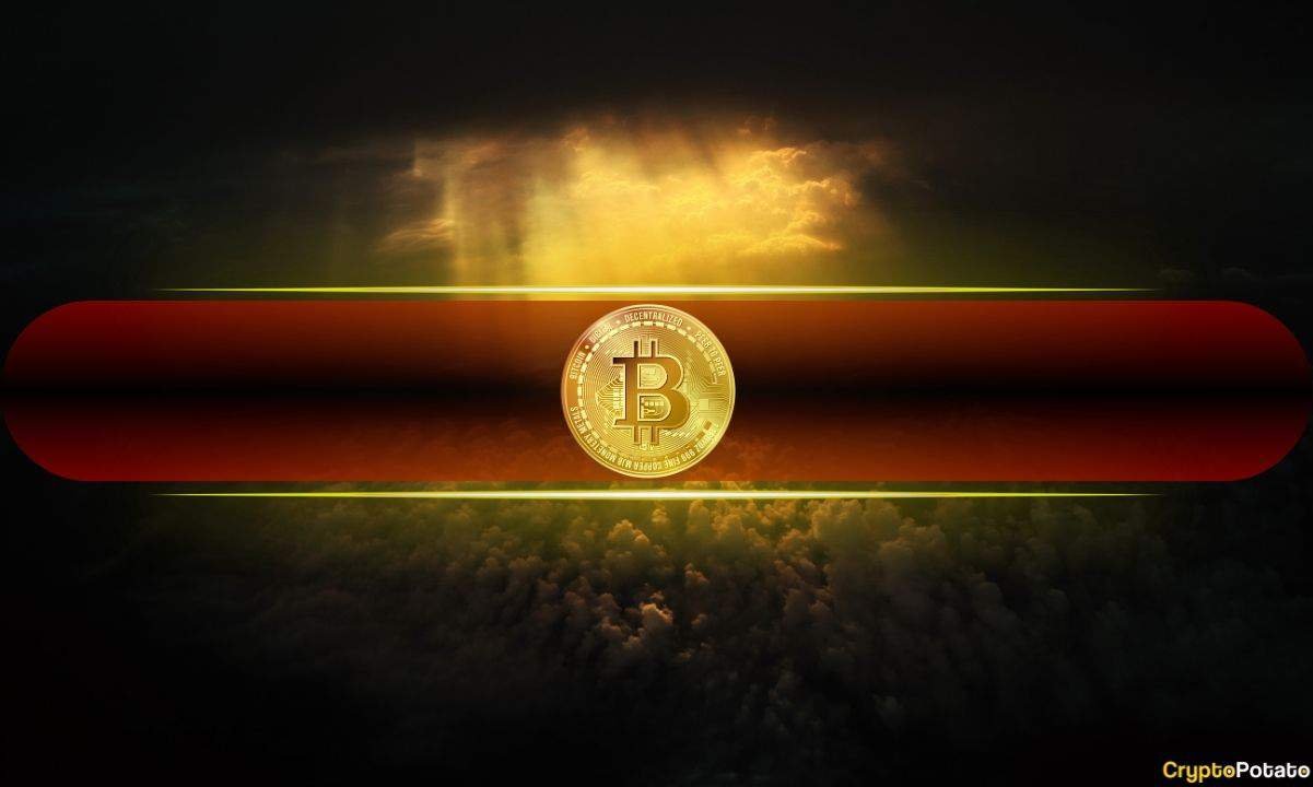 Understanding Panic Selling: Who Are the Most Prone Bitcoin Investors?