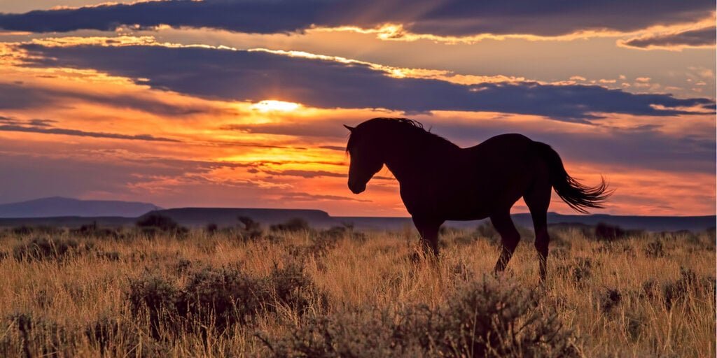 Wyoming Introduces ‘Frontier’ Stablecoin on Major Blockchains
