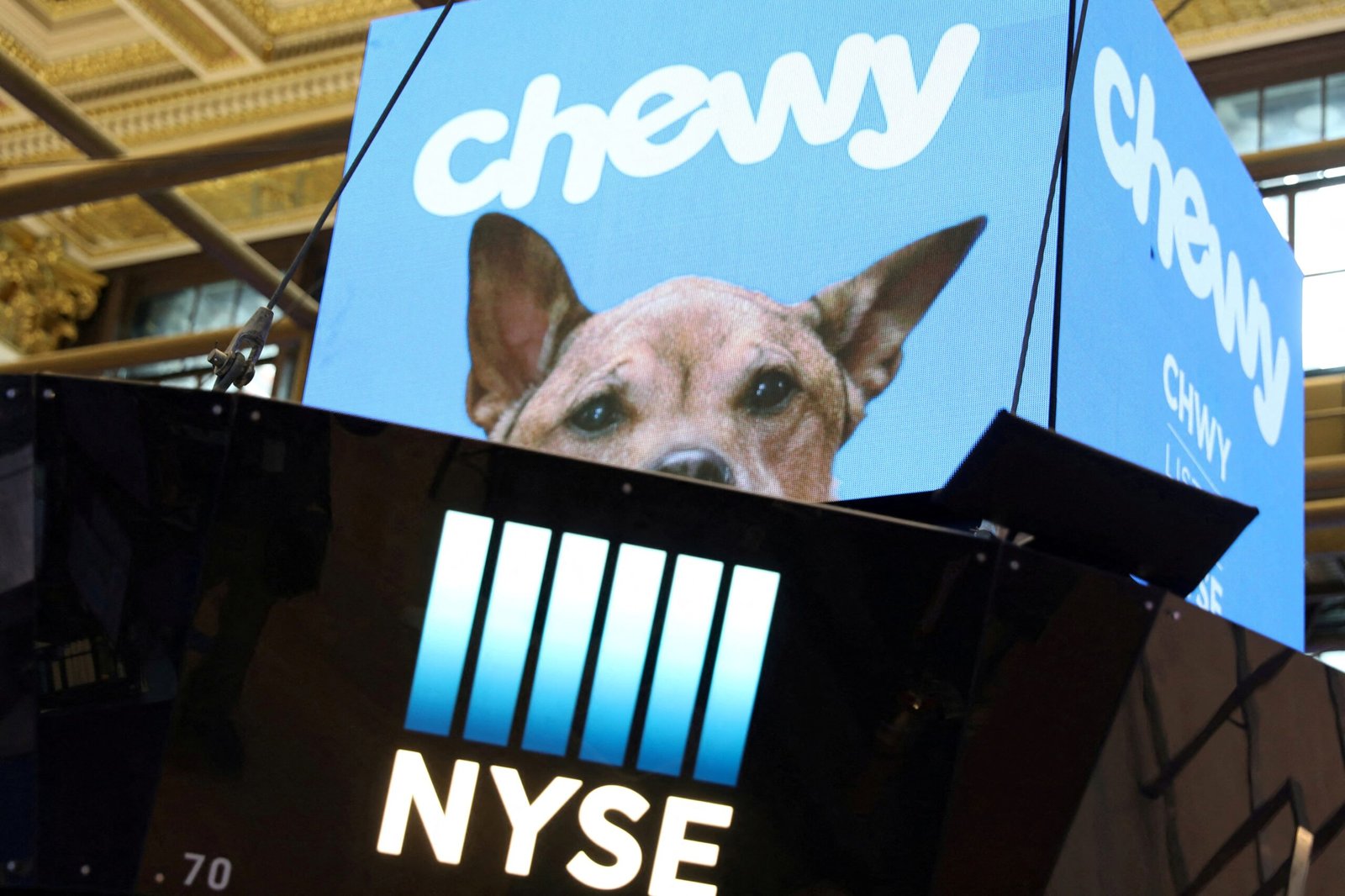 Chewy Inc. Earnings Report: A Detailed Analysis for Investors